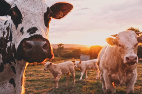 Read more about the article The Top PC Farming Games